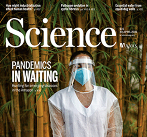 【Science分享】天津大學(xué)張雁教授團(tuán)隊(duì)揭示噬菌體基因組中二氨基嘌呤取代腺嘌呤