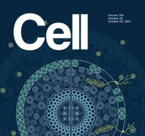 祝賀王二濤老師團隊又一佳作榮登Cell期刊！