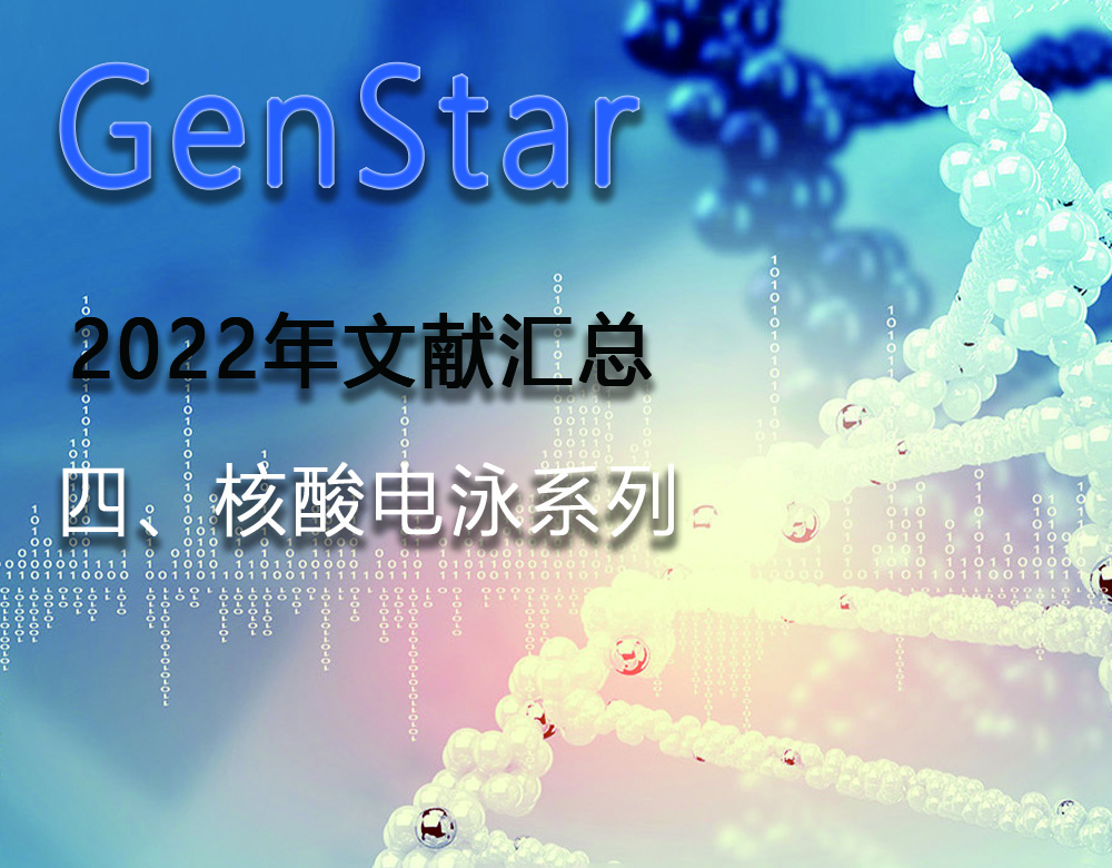 GenStar 2022年文獻(xiàn)匯總（四、核酸電泳系列）